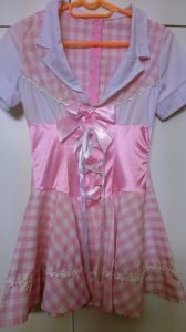 Adult Female Costumes to Hire - German - Pink checked satin bodice